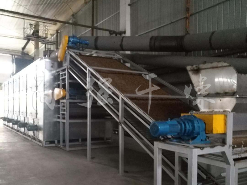 DWT系列脫水蔬菜干燥機